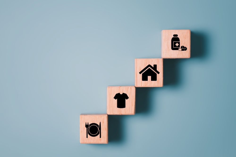 four blocks with icons describing the basic needs of food, shelter, medication and clothing.
